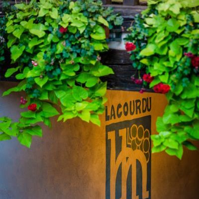 Cour du Bailli_avec filigrane_236.jpg